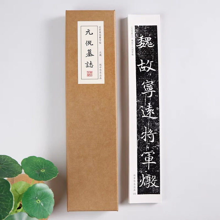 近距离字卡：元倪墓志