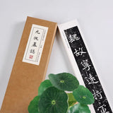 近距离字卡：元倪墓志