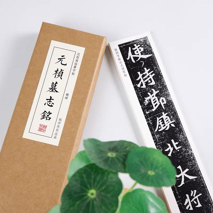 近距离字卡：元桢墓志铭