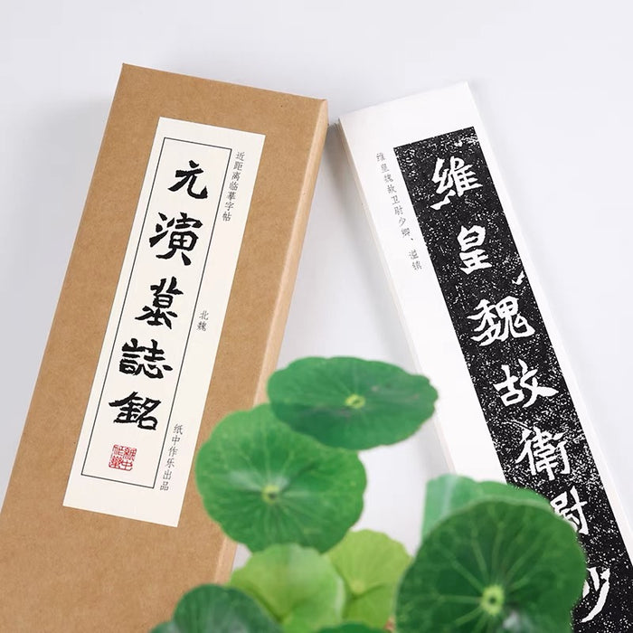 近距离字卡：元演墓志铭