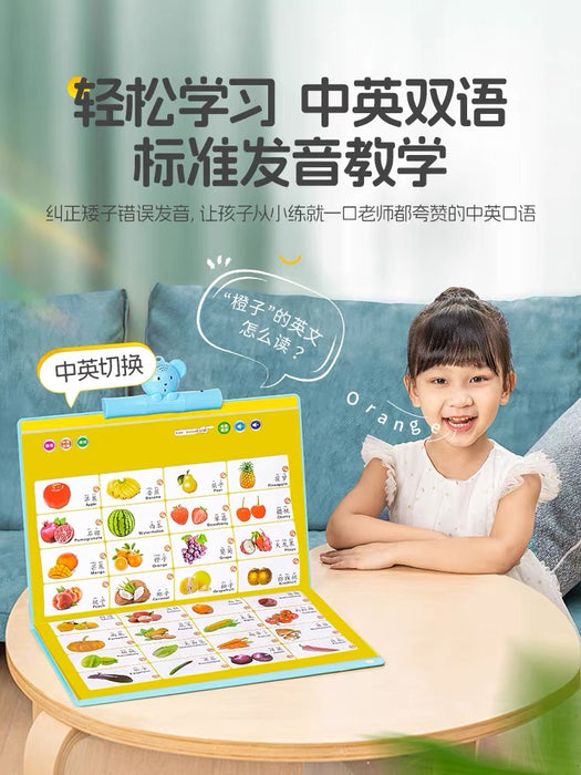 多功能点读挂图 儿童益智早教开发3-6岁