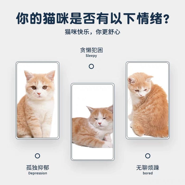 Interactive LED Light Toy for Kitten 不伤眼LED逗猫灯
