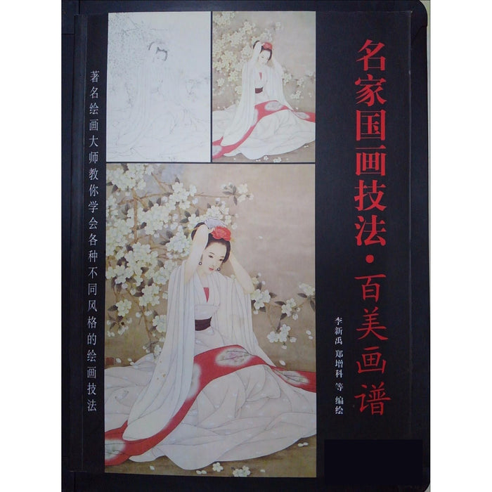 名家国画技法 百美画谱
