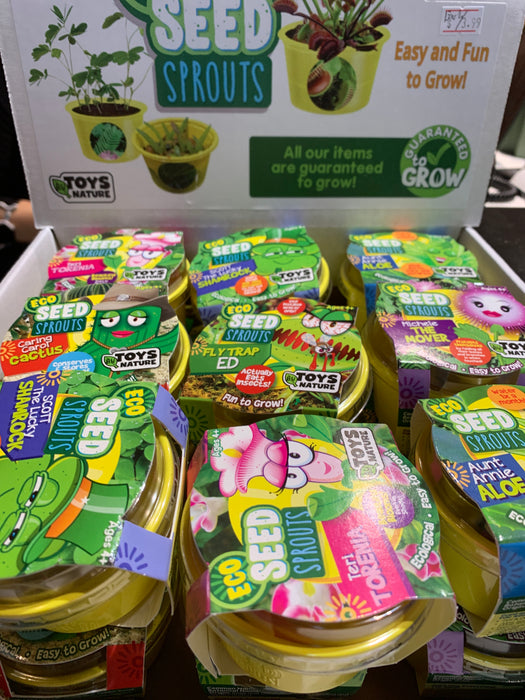 eco seed sprouts counter display