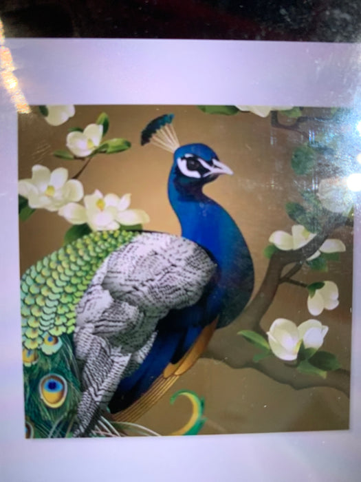 peacock magnolias pop up card