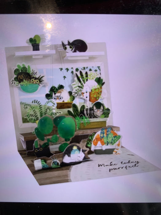 cats in plants pop up card