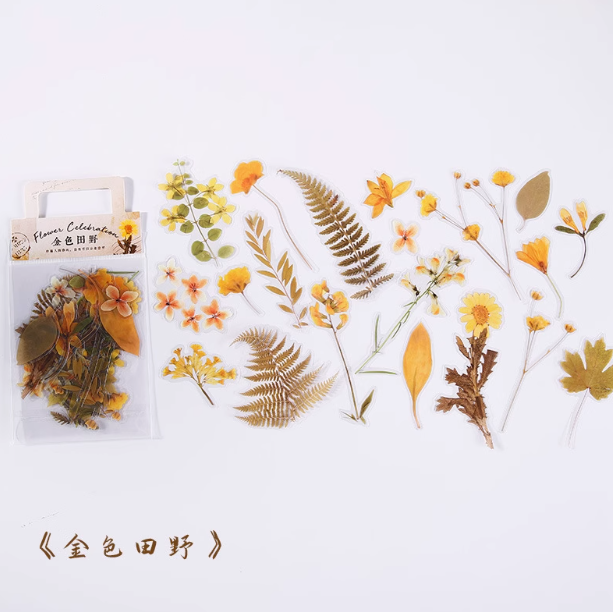 MOORE Flower Celebration Series PET Stickers Pack 40pcs 沐染PET贴纸包 原野自深处系列 金色田野