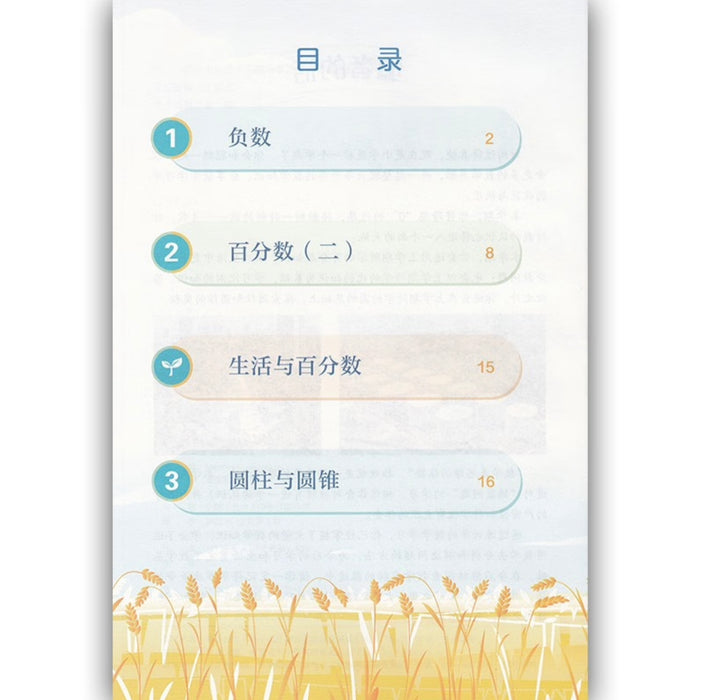 （新版）人教版小学数学六年级下