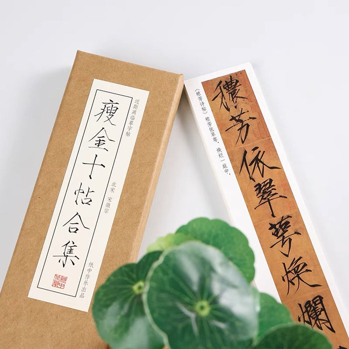 近距离字卡：瘦金体十帖合集