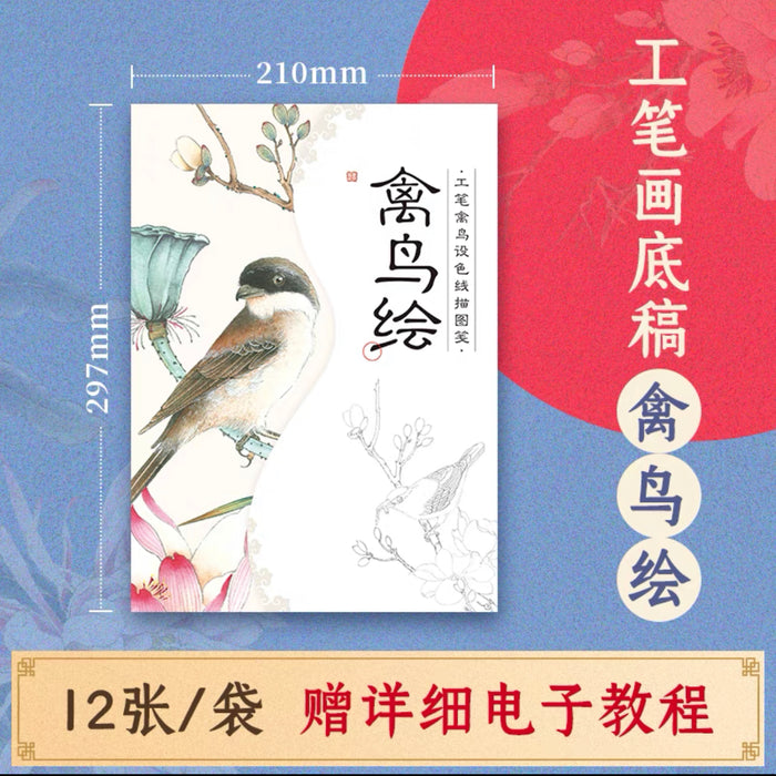 Gongbi Line Drawing Draft 工笔画底稿：禽鸟绘