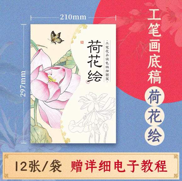 工笔花卉设色线稿：荷花绘