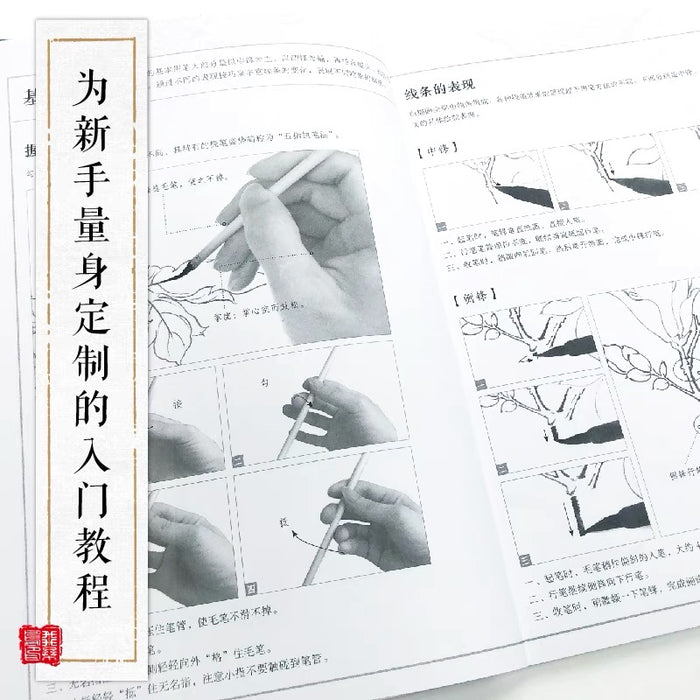 飞乐鸟 满庭芳 工笔白描百花画谱