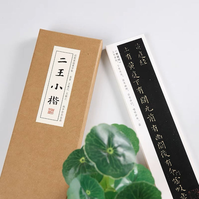 近距离字卡：二王小楷