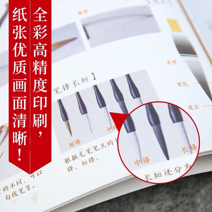 飞乐鸟 零基础学画画 国画入门教程