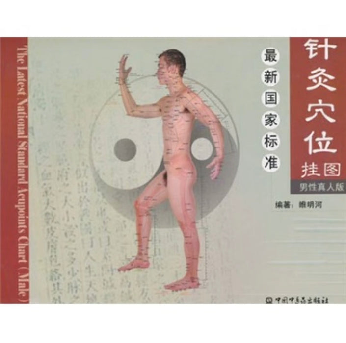 最新国家标准针灸穴位挂图（男性真人版）