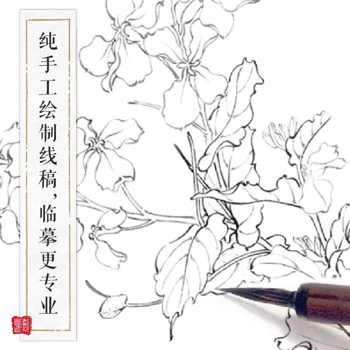 飞乐鸟 满庭芳 工笔白描百花画谱