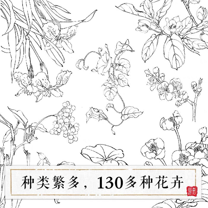 飞乐鸟 满庭芳 工笔白描百花画谱