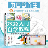 飞乐鸟水彩入门自学教程