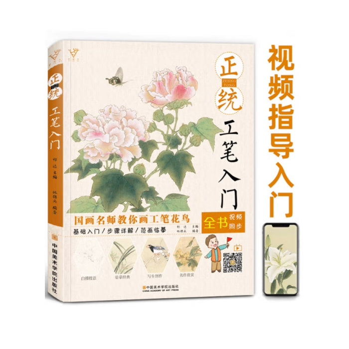 正统工笔入门 零基础技法绘画底稿教程
