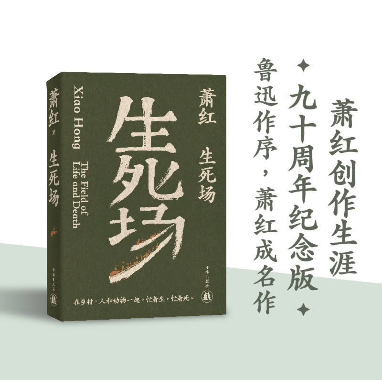 对话｜《萧红大传》：走进萧红的世界