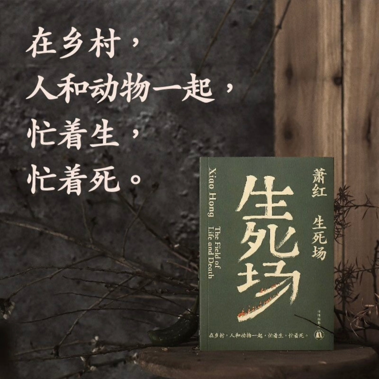 萧红作品：生死场九十周年纪念版– Eglance Bookstore