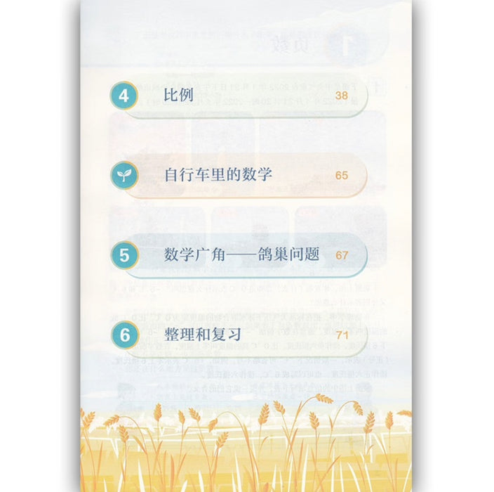 （新版）人教版小学数学六年级下