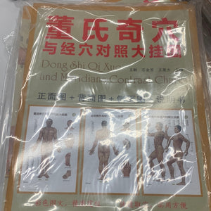 董氏奇穴与经穴对照大挂图