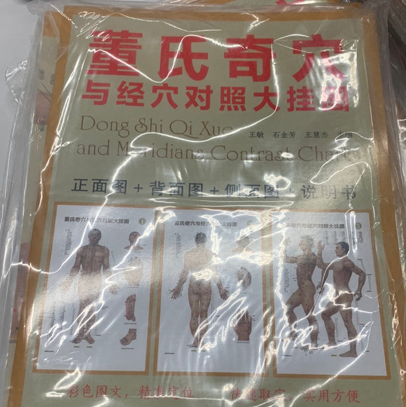 董氏奇穴与经穴对照大挂图