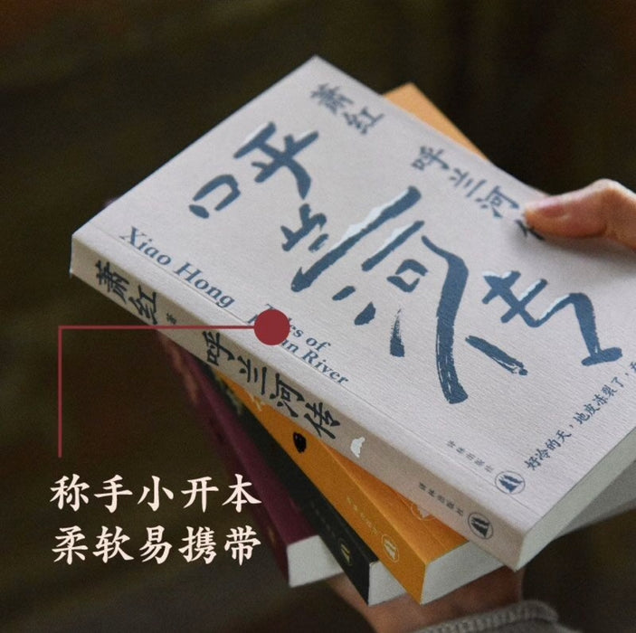 萧红作品：商市街 九十周年纪念版