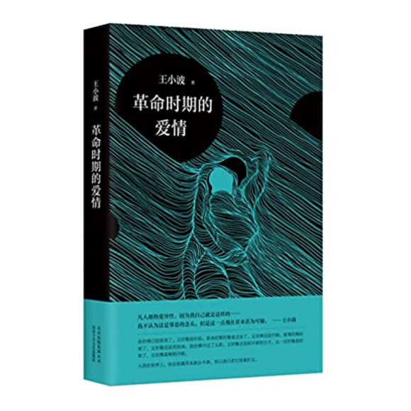 革命时期的爱情 - 王小波