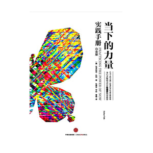 当下的力量-实践手册（白金版） [Practicing the Power of Now]