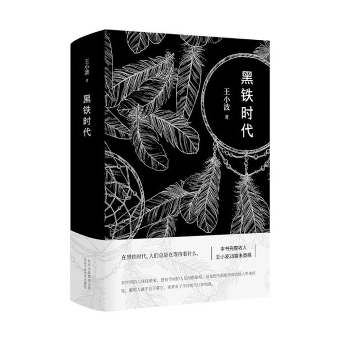 黑铁时代 - 王小波