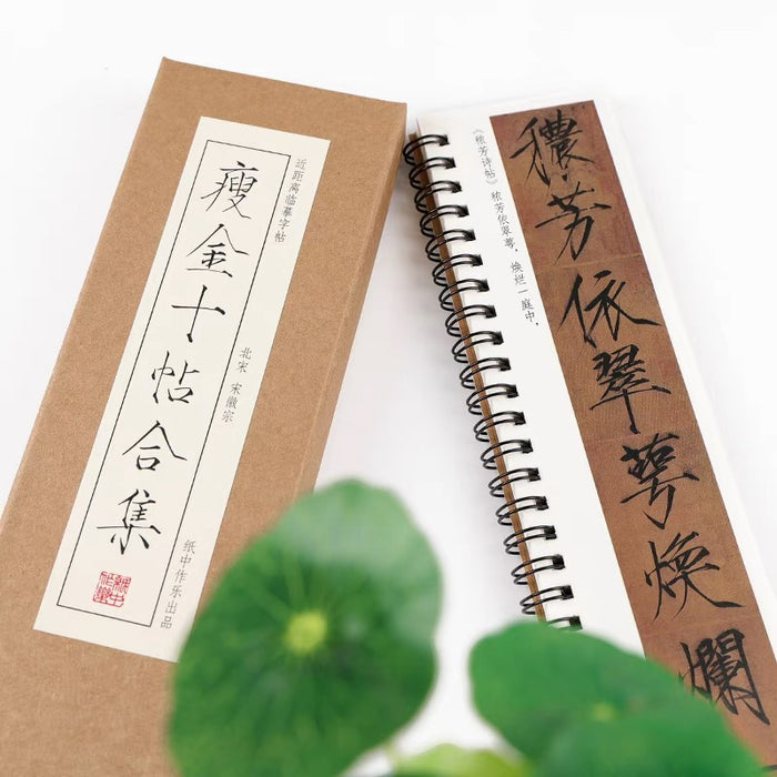 近距离字卡：瘦金十帖合集