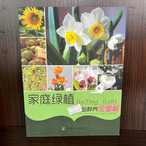 家庭绿植基础种养全图解