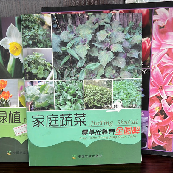 家庭蔬菜基础种养全图解