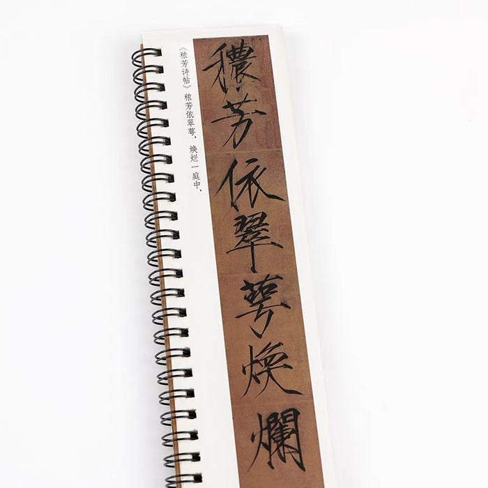 近距离字卡：瘦金十帖合集