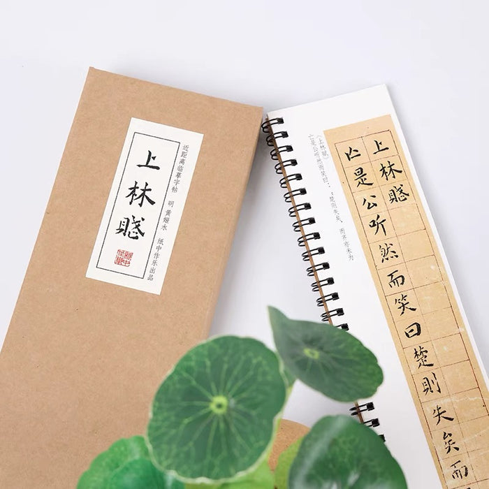近距离字卡：上林赋