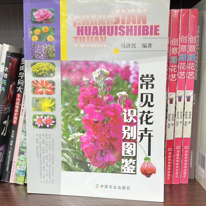 常见花卉识别图鉴