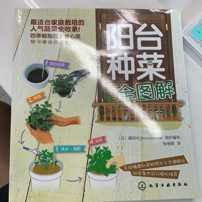 阳台种菜 全图解