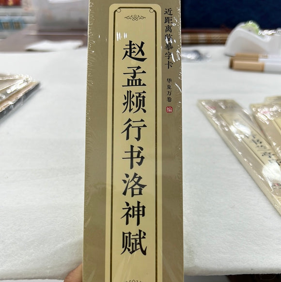 近距离临摹字卡：赵孟頫行书洛神赋