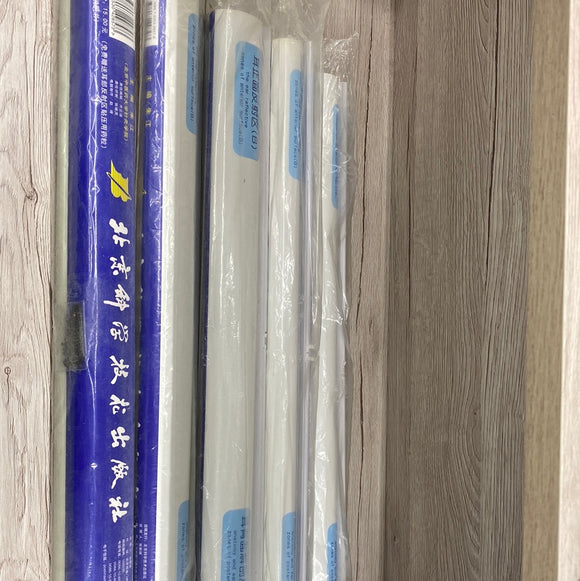 耳正面反射区（B）
