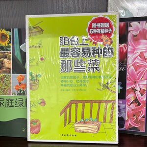 阳台上最容易种的那些菜