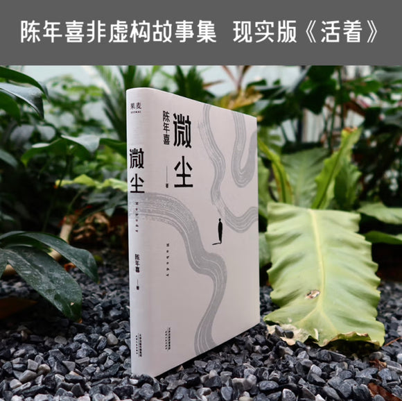 微尘 陈年喜非虚构故事集