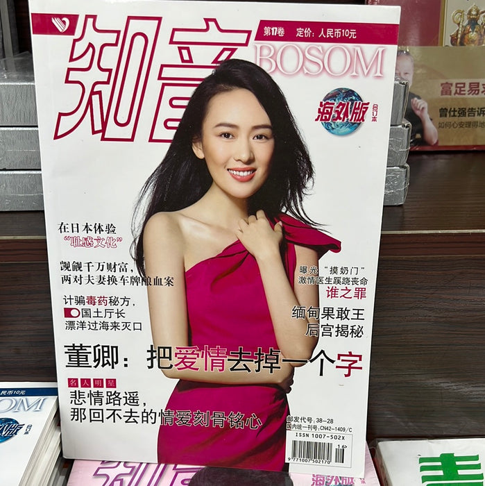 知音杂志 海外合订本 17-18