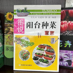 图说阳台种菜