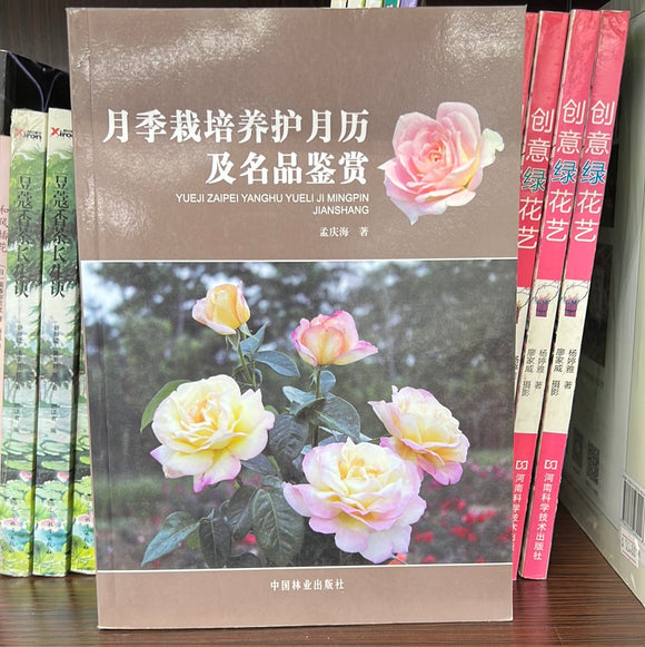 月季栽培养护月历及名品鉴赏