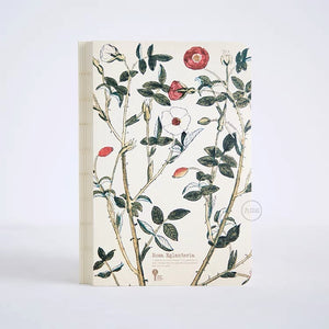 九口山原创本子药草系列笔记本：野蔷薇 Herb Series Notebook： Rosa Eglanteria