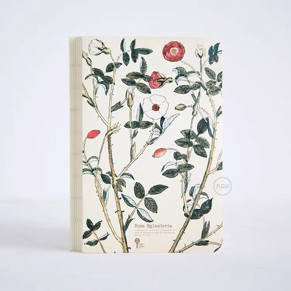 九口山原创本子药草系列笔记本：野蔷薇 Herb Series Notebook： Rosa Eglanteria