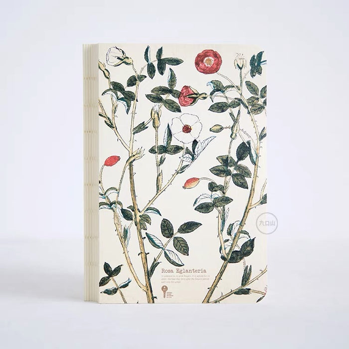 Herb Series Notebook： Rosa Eglanteria 九口山原创本子药草系列笔记本：野蔷薇