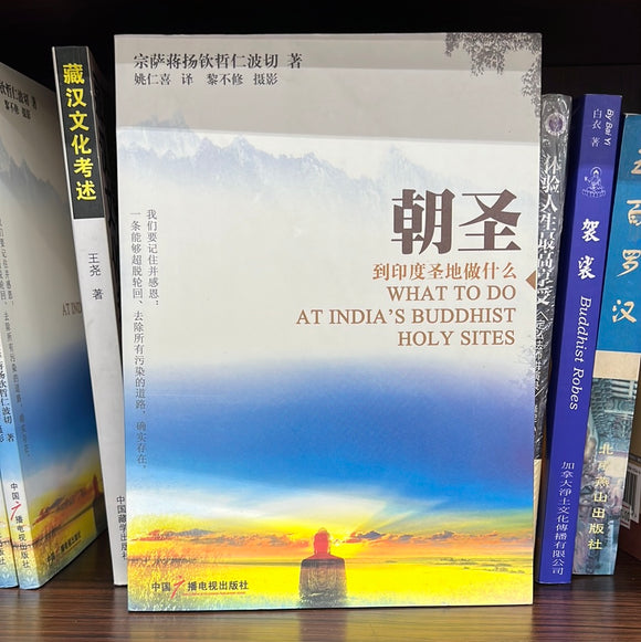 朝圣 到印度圣地做什么